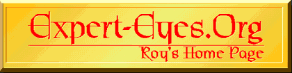 Expert-Eyes.Org: the Eye of the beholder