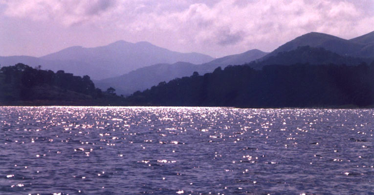 Periyar Reservoir, Thekkady Wildlife Sanctuary, Kerala, India.